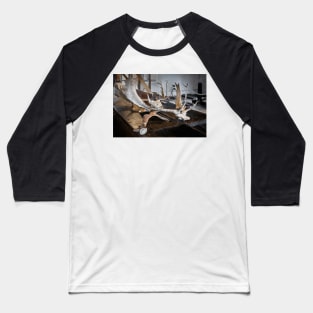 Dunham Massey -Deer horns Baseball T-Shirt